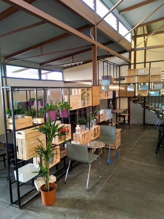 Вілла Beit Al Ward Ель-Шафа Екстер'єр фото
